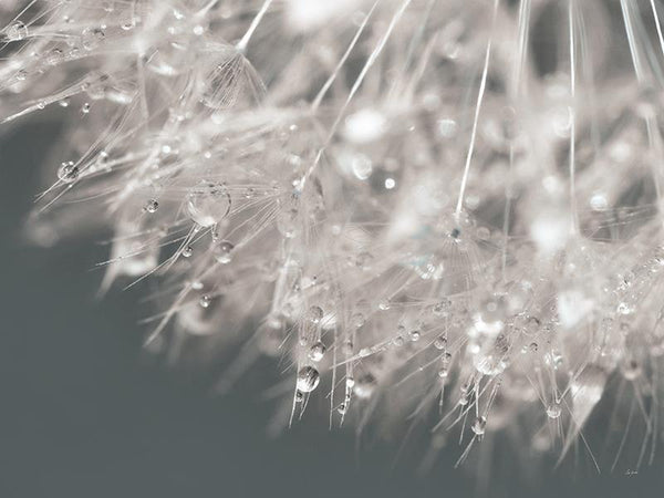 Droplet In Time II By Lori Deiter (Small) - Gray