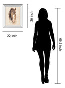 Watercolor Animal Study - Dark Brown