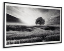 Deborland - Wall Art - Black / White