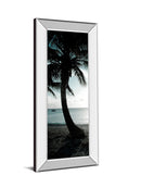 Cool Bimini Palms Il By Susan Bryant - Mirror Framed Print Wall Art - Black