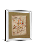 Autumn's Delight Il By Nan - Mirror Framed Print Wall Art - Red
