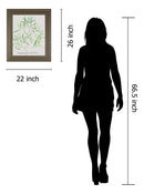 Asparogus Falcatus By Katrien Soeffers - Framed Print Wall Art - Green