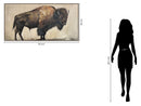 "Majestic Bison" Hand-Embellished Canvas In Frame - Brown / Earthy Tones