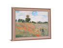 Poppy Field Stroll - 28" x 34" Framed Wall Art