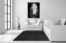 Temp Glass With Foil - White Horse - Black