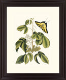 Butterfly Grove - 28" x 34" Framed Wall Art