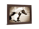 Galloping Spirit - 28" x 34" Framed Wall Art