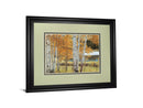 Birch Beauty By Mike Jones - Framed Print Wall Art - White