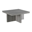 Uster - 2 Piece Occasional Set (Coffee Table And End Table) - Light Gray
