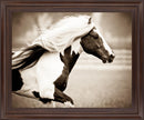 Galloping Spirit - 28" x 34" Framed Wall Art