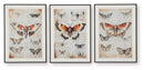 Jossletts - Wall Art Set (Set of 3) - Orange / Black / Ivory