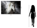 Tempered Glass With Foil - Mystical White Horse - Dark Gray