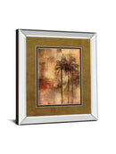 Tuscadero I By Douglas - Mirror Framed Print Wall Art - Dark Brown
