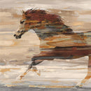 Galloping Beauty By Amber Sterling (Framed) - Light Brown