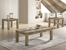 Theo 3-Pc Coffee Table Set-Reclaimed Wood